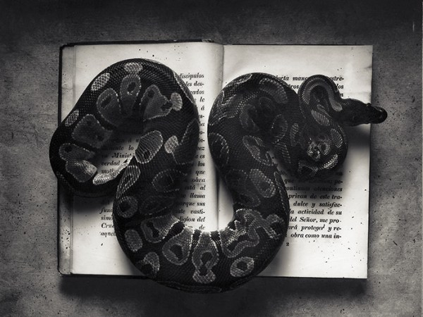 Making Experimental Art: A Guide for the Perplexed (Pt.&nbsp;2)