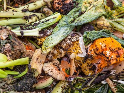 WEMAC Blog: Preventing Food Waste in Grocery&nbsp;Stores